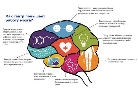 Влияние мозга