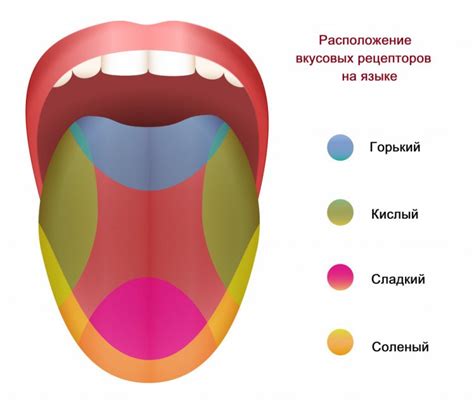 Влияние на вкусовые рецепторы