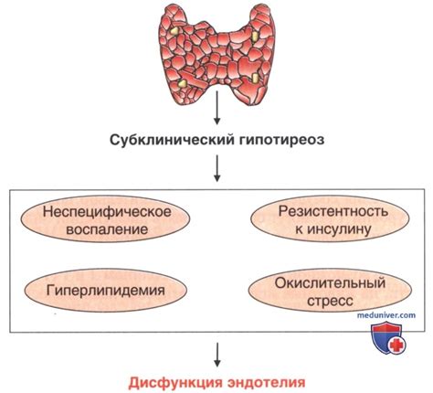 Влияние на деятельность щитовидной железы