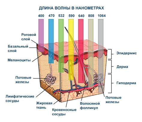 Влияние на кожу