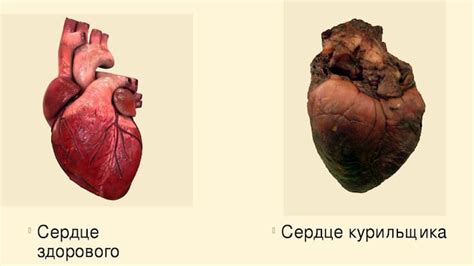 Влияние на сердце