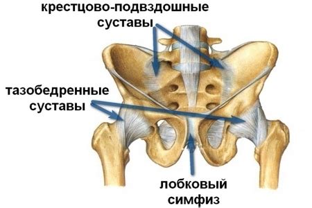 Влияние неправильной техники на сгибание в тазобедренном суставе