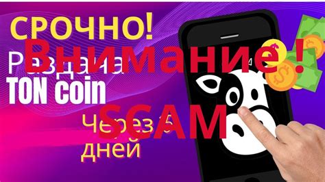 Влияние отсутствия токена Ton Coin на пользователей