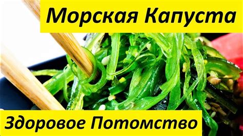 Влияние переваривания морской капусты