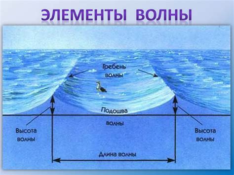 Влияние приливных волн на температуру воды