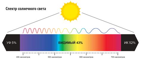 Влияние света на рост