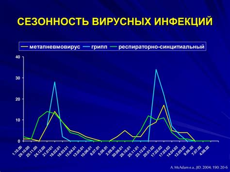 Влияние сезонности и даты бронирования