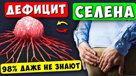 Влияние силденафила на организм