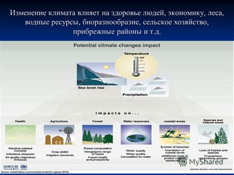 Влияние среды и климата на архитектурные формы