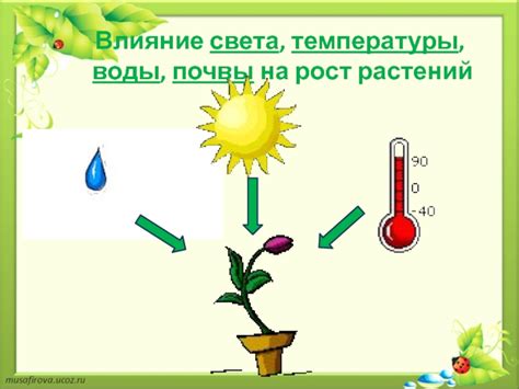 Влияние температуры на качество воды