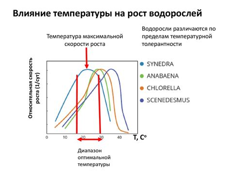 Влияние температуры на молекулярное движение