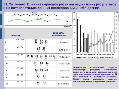 Влияние точности на интерпретацию