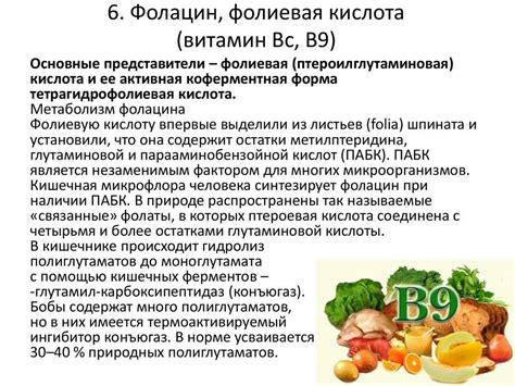 Влияние фолиевой кислоты на мужское здоровье