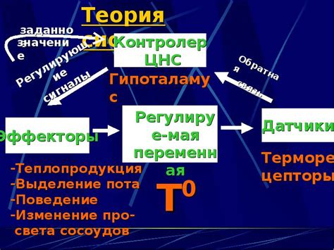 Вода при регуляции температуры тела