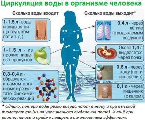 Водный баланс для нормализации