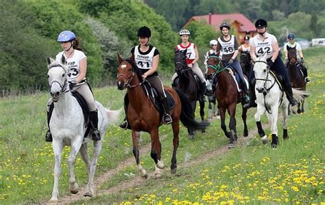 Возвращение конного спорта на Олимпийские игры