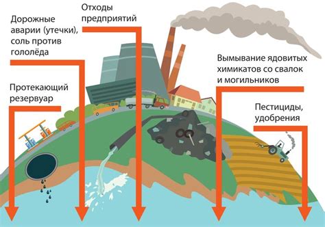 Воздействие лунок на экосистему озера