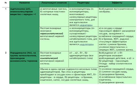 Воздействие симпатической и парасимпатической нервной системы