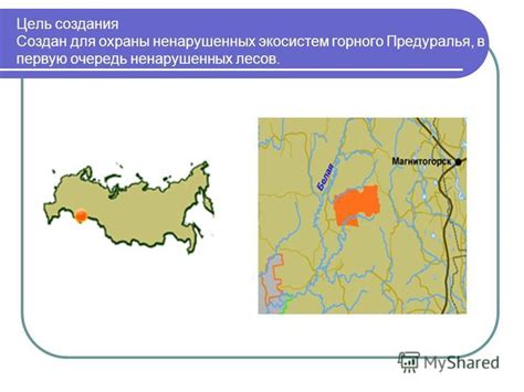 Возможность познакомиться с редкими видами морской фауны