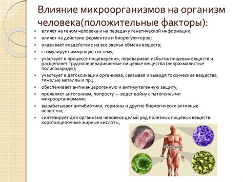Возможность попадания патогенных микроорганизмов в организм