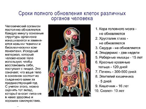 Возможные осложнения после лечения