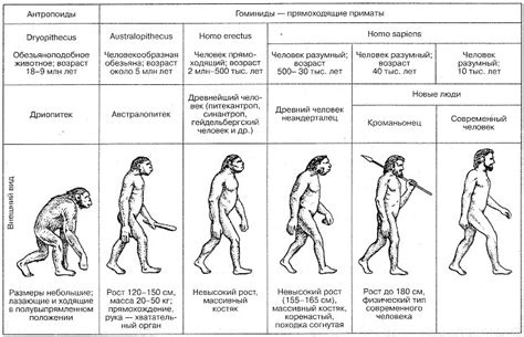 Возникновение и эволюция мема