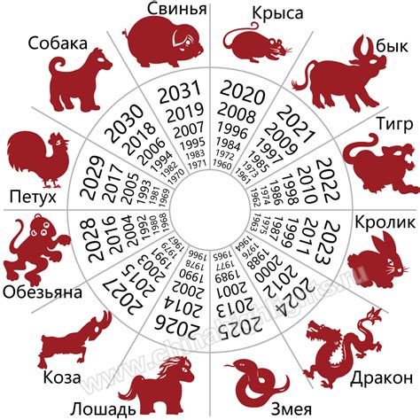 Возраст 23 года: определение года рождения (текущий год)