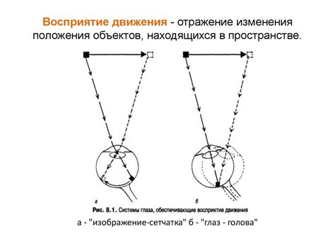 Восприятие движения