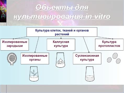 Восстановление клеток и тканей