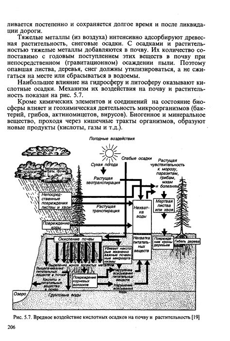 Вредное воздействие на почву