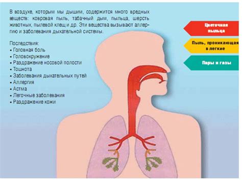 Вредные последствия влажности