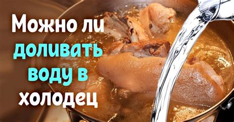 Время варки холодца