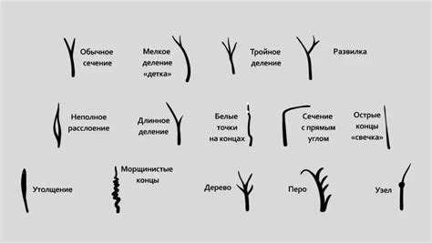 Вторичные проблемы волос