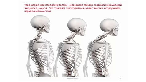 Выберите правильное положение головы