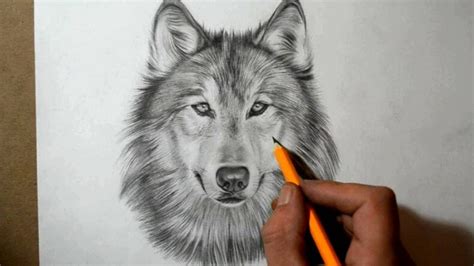 Выбор бумаги и инструментов для создания волка