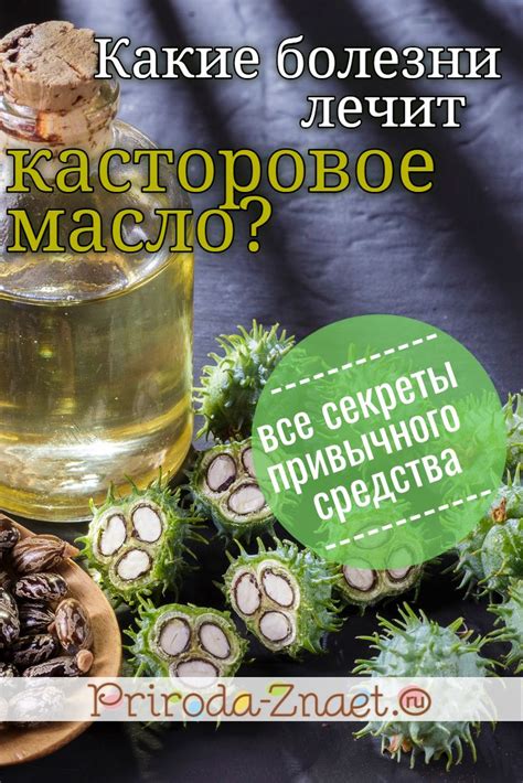 Выбор качественного касторового масла