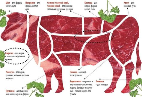 Выбор мяса для хве