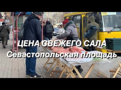 Выбор свежего сала