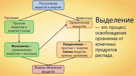 Выделительная функция