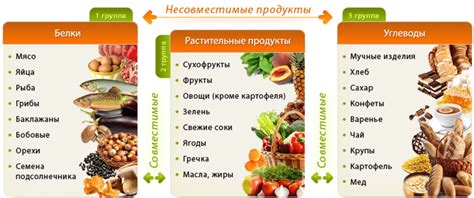 Высокоселенсодержащие продукты для взрослых: топ-10