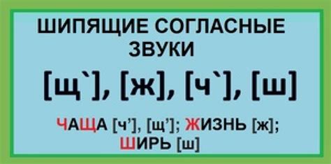 Высокочастотные сибилянты: шипящие звуки наиприятнейше звучат