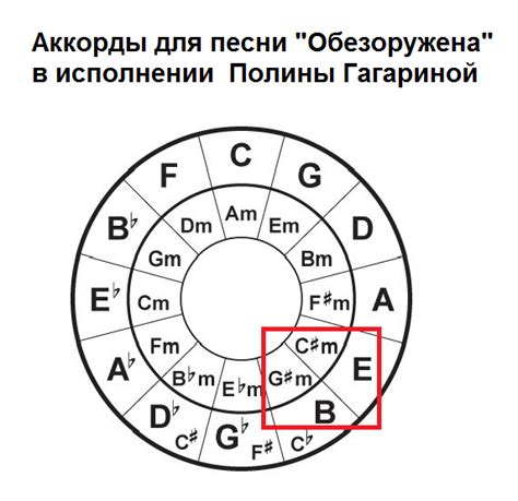 Гармония в выборе