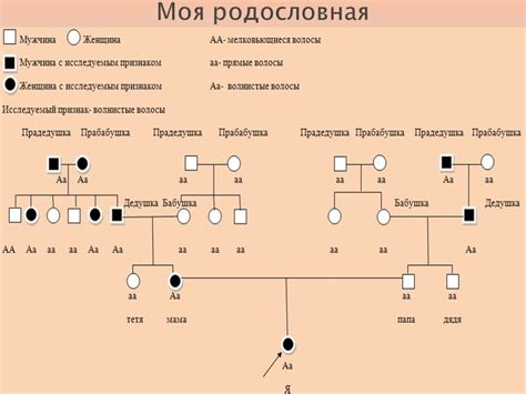 Генетика и структура семьи