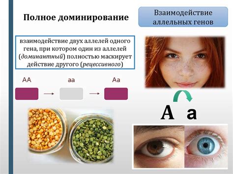 Генетические закономерности