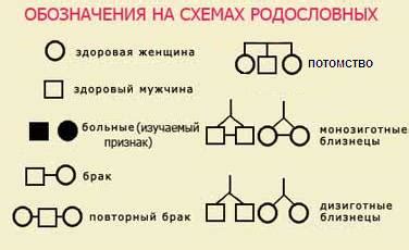 Генетические исследования родословных