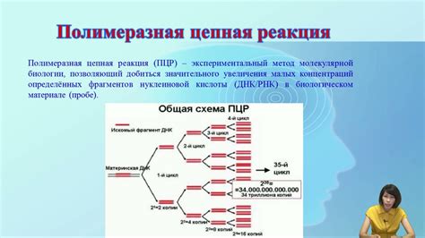 Генетические методы исследования