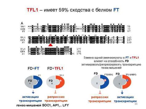 Генетические механизмы изменения цвета