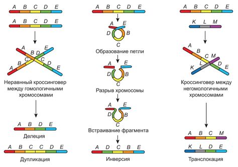 Генетические мутации и гемоглобинопатии