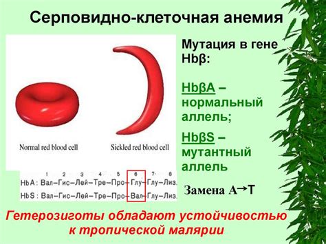 Генетические мутации и серповидная клеточная анемия