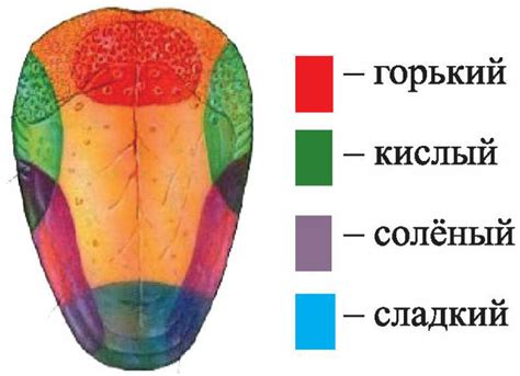 Генетические особенности восприятия запахов и вкусов